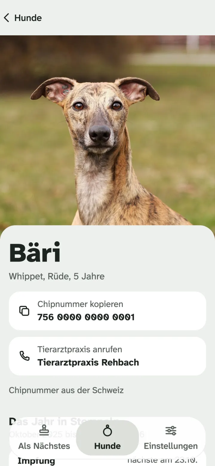 Hundeprofil von Bäri, Whippet, mit Foto, Chipnummer und Tierarztpraxis